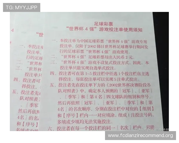 专业版世界杯竞猜投注攻略帮助玩家制定科学投注策略提升中奖几率实现持续盈利的实用指南