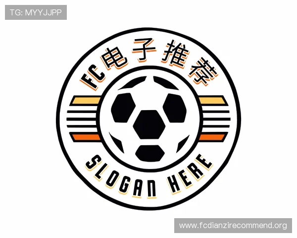 关于FC电子推荐
